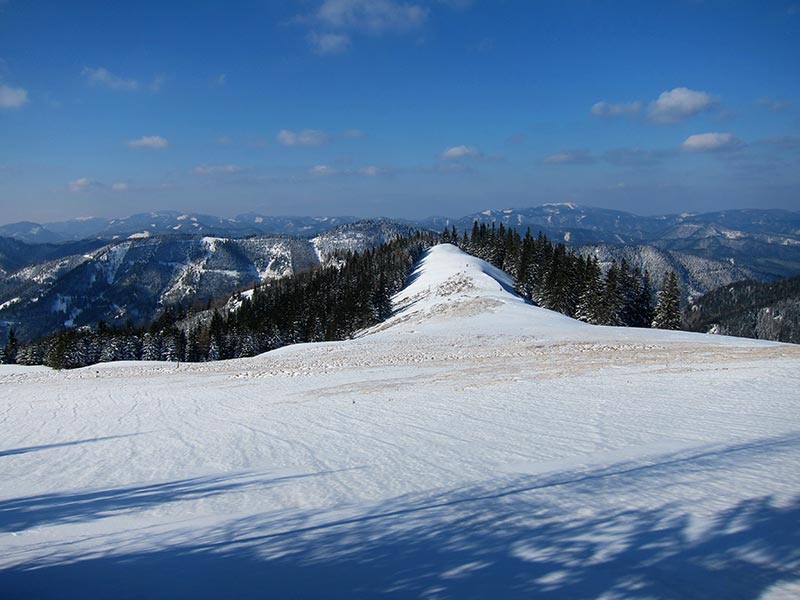 Kuhschneeberg